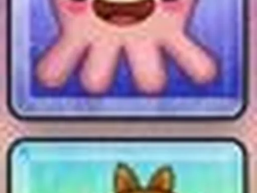 Animal Connection